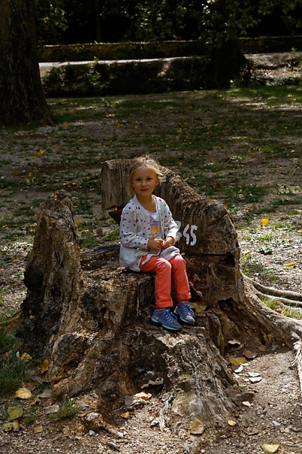 Famille et amis-SEP15-001